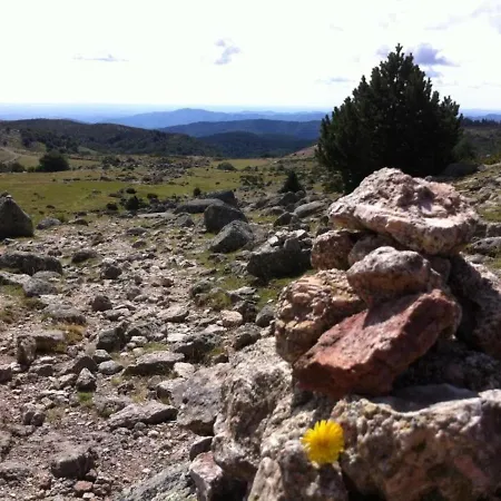 Le Grenier D'annick * Villefort (Lozere)