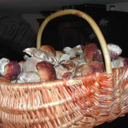 Le Grenier D'annick * Villefort (Lozere)