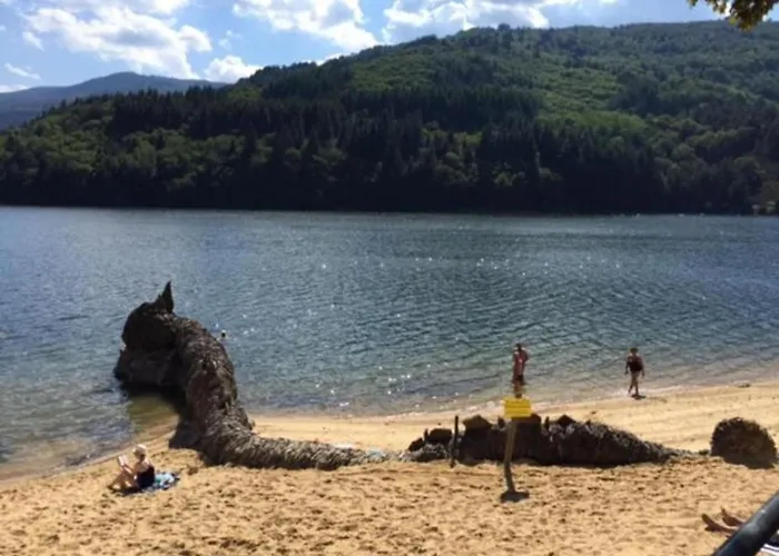 Le Grenier D'annick * Villefort (Lozere)